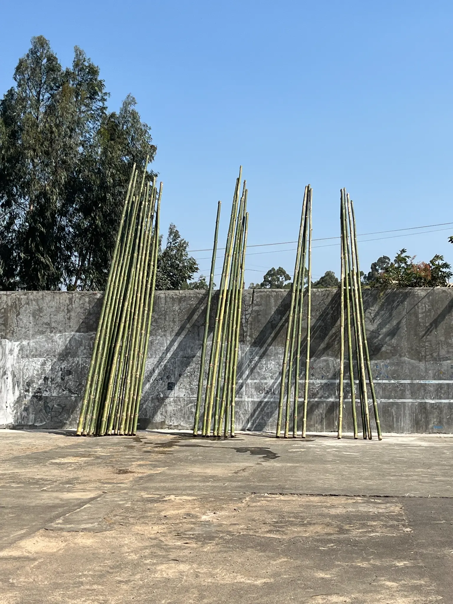 Bambus als Baumaterial für die Worldschool